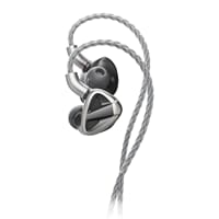 WEB_Image_FiiO_FH19_–_Flagship_hybrid_IEM_med_2DD__fiio_fh19_130716820_plid_31011.jpeg