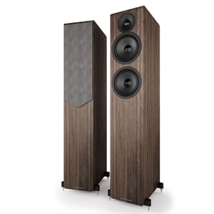 Acoustic Energy AE309-2