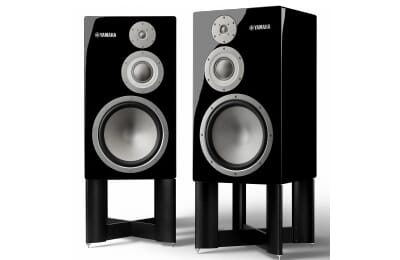 980008956 cmn-fig copy.jpg