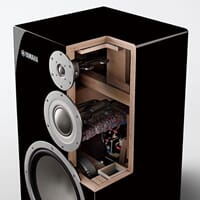 980008956_Rel 528D63D8D1DD4145819F945286769321_12074.jpg