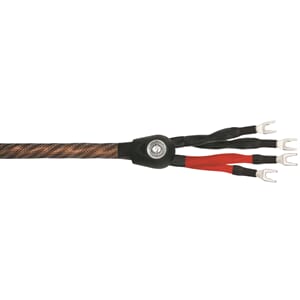 Wireworld Eclipse 8