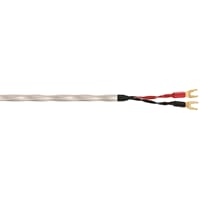 980009826_Rel SOS_8-1.jpg