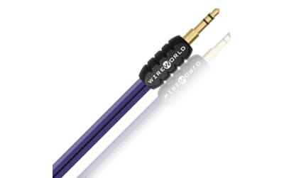 980008725 pun_sm2.jpg