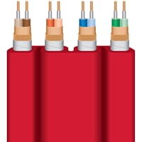 980008751_Rel STE_Cut-1.jpg